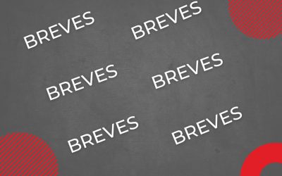 NOTICIAS BREVES – DICIEMBRE DE 2023